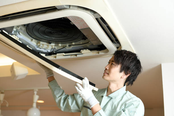 Air Duct Mold Removal in San Elizario, TX