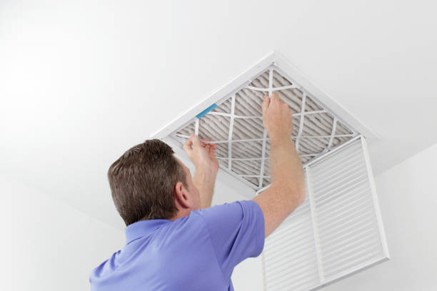 Best Air Duct Mold Removal  in San Elizario, TX